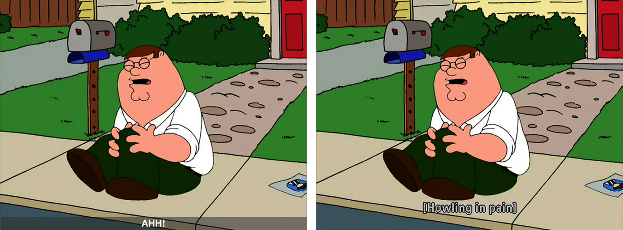 Two identical frames from an episode of Family Guy  featuring different captions: AHH! in the text caption track and [Howling in pain]  in the bitmap caption track.